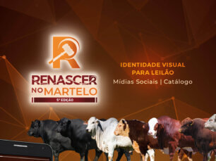 marketing digital Renascer no martelo leilão gado lance rural bedez