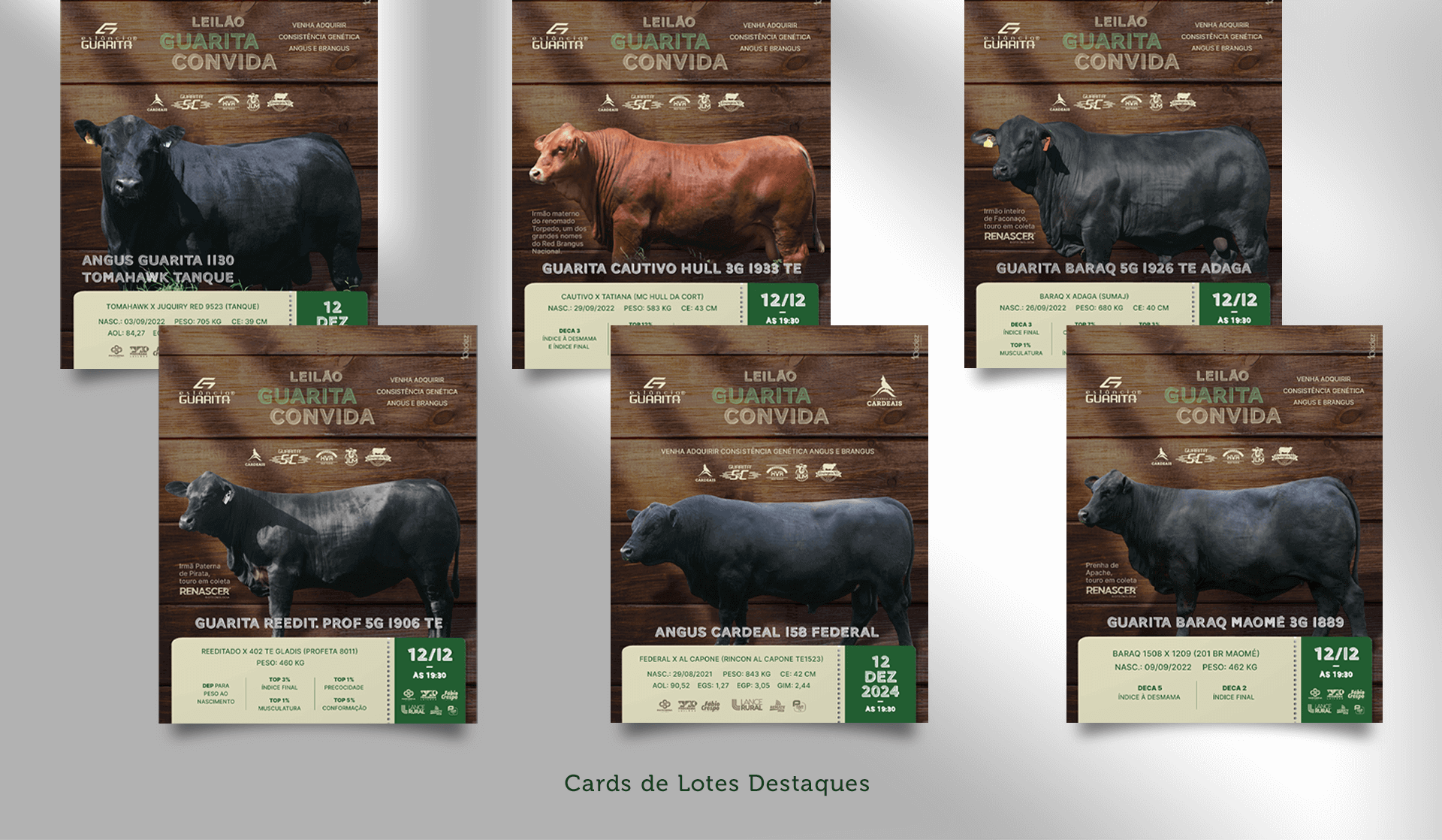 Cards de destaque dos lotes principais do Leilão Guarita Convida, apresentando touros e fêmeas das raças Angus e Brangus, com informações detalhadas de linhagem, peso e características genéticas. Ideal para pecuaristas que buscam agregar valor e qualidade aos rebanhos com animais de alto padrão.