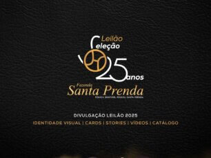 Arte principal Leilão Seleção Santa Prenda 25 anos
