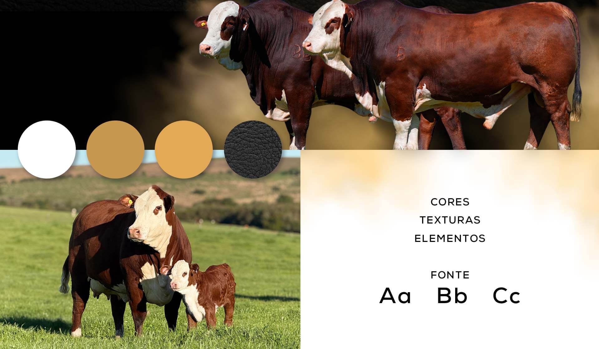 Selo comemorativo 25 anos integrado à marca Santa Prenda